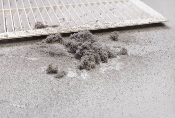 Best HVAC Air Duct Cleaning  in Kualapuu, HI