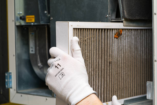 Best Air Duct Cleaning Near Me  in Kualapuu, HI