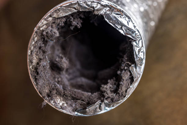 Best Best Air Duct Cleaning Company  in Kualapuu, HI